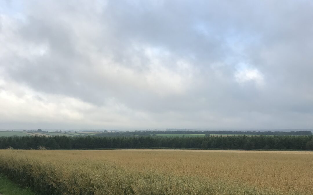 Lockdown Diaries – Volume III
